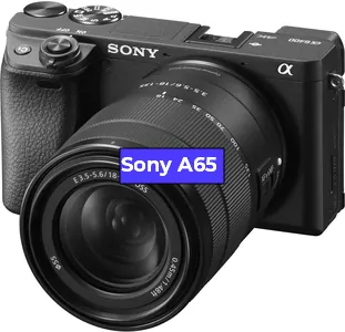 Замена Прошивка фотоаппарата Sony A65 в Санкт-Петербурге
